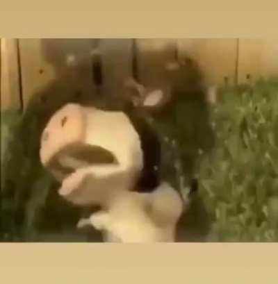 Upvote si tu padre también hace eso cuando le haces enfadar 😔