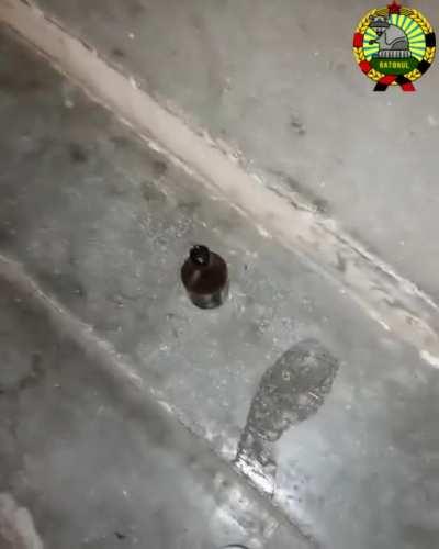 Nici sa mai bei o bere linistit nu poti in tara asta.