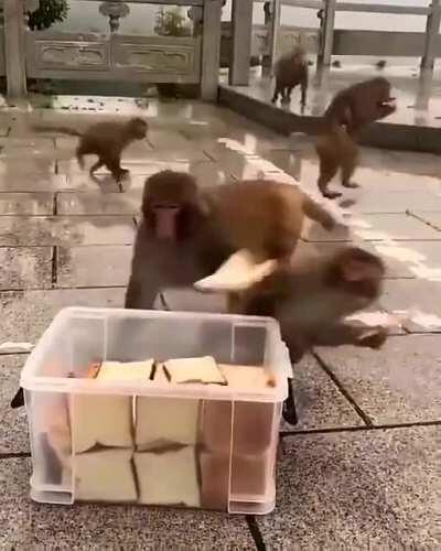 Me n the homies Stealin da bread