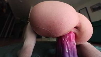 XL Hidora is my most unique tentacle toy and it stretches me so well