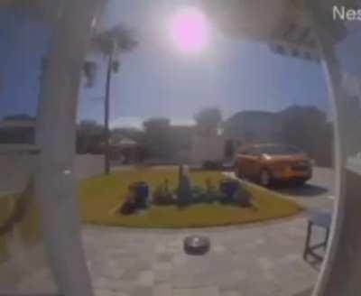 Free bird plays on the background