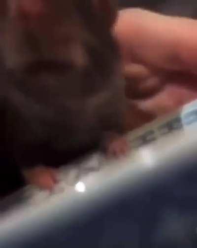 you all have 5 minutes to live