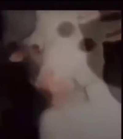 When you try to get a Serapenis ult reset off of your teammate but they walk out of the range