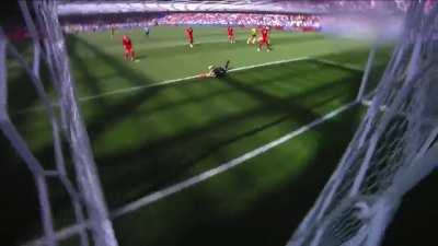 Defense of Ukraine: Our Blue Birds will prevail over NIGHT. Thank you, Belgium!