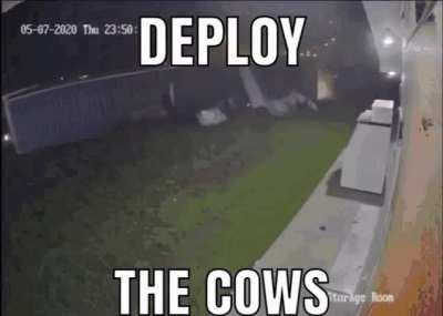 I'm 15 and this is yeet