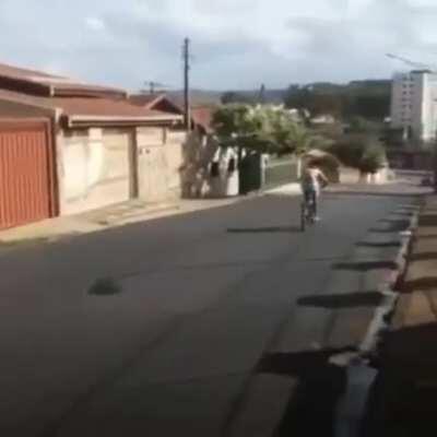 muca nao sabe andar de bike