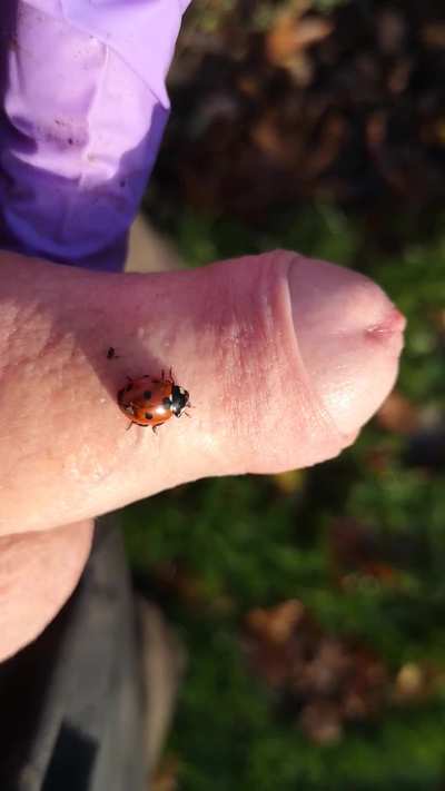 wanted to hitch a ride