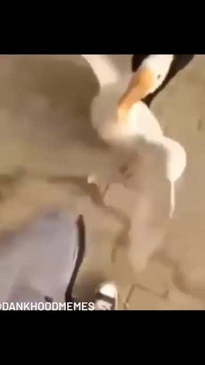 When the psych pt gets loose and your partner is completely useless.