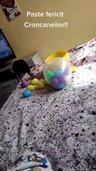 Paste Fericit WAGTHROman-ilor [abea acum m-am trezit din supradoza de drob]