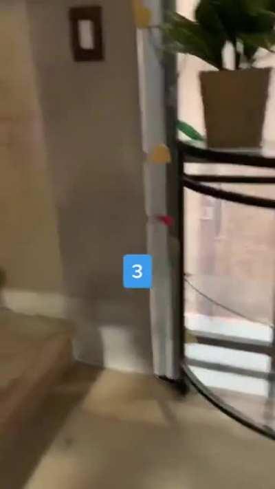 I can't get this image out of my head.