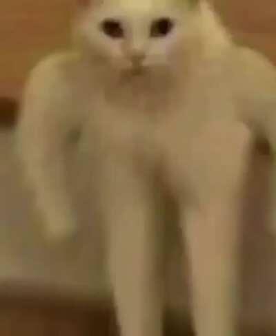 no aparecí en el mclmi 😔