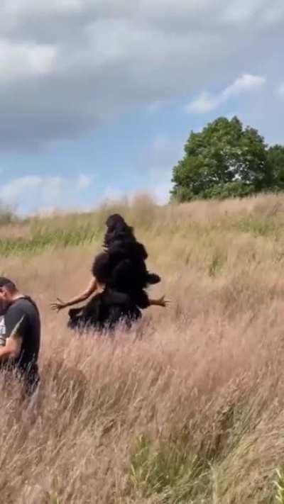 Tracee's 2021 Dance Mix Video