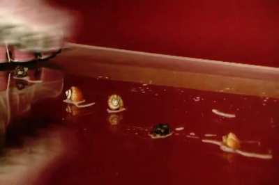 I need a telegram group invite.