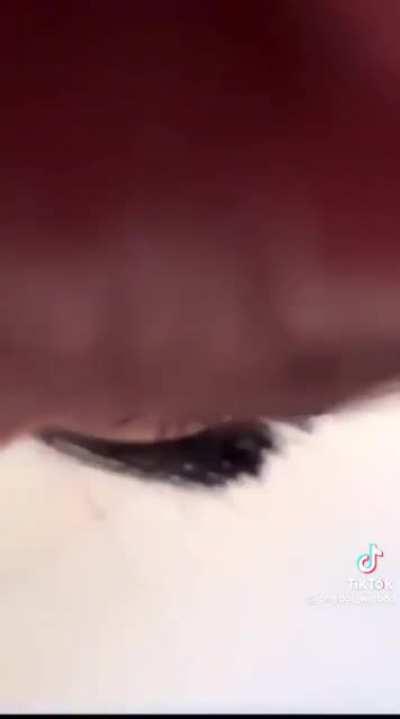 DojaCatFans - Video #8257