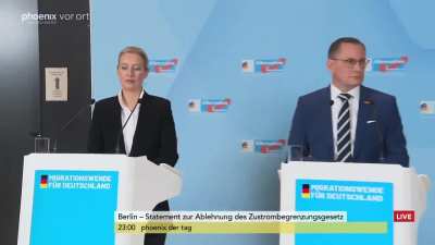 In Germany we say beleidigte Fascho äh Leberwurst..