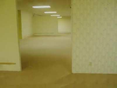 Y’all saw the 4chan post update with this video right?