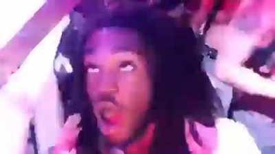 Moths when they see a lamp