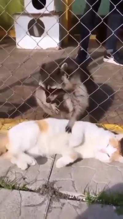 Checking them pockets