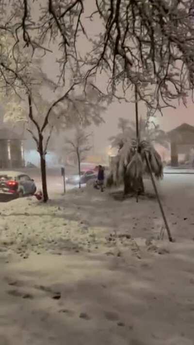 Unusual snow storm in Redding, CA on 1/26/2021 brings out the idiots.