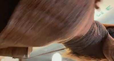 I’m so shy that I stutter when I order my coffee, yet I secretly want strangers to see up my skirt [f]