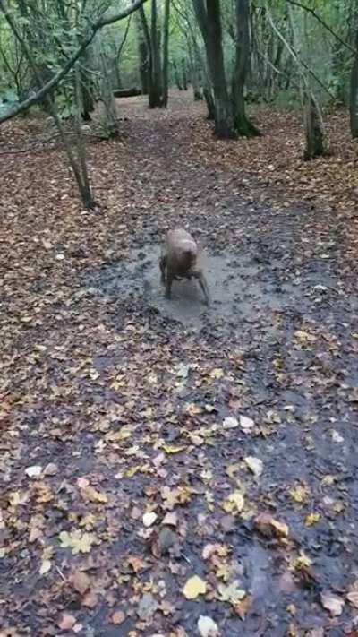 We had to drive home... he sits on the back seat of a 2 door mini... and I didn't have a towel... thanks bud.