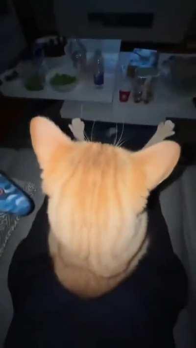 He likes to be included