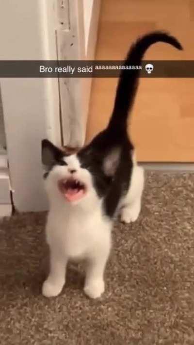 Saw this on instagram and had to share