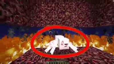 HARAM GAY SPIDER كافر PAYS عنكبوت FOR SINS!!! لا لحم الخنزير المدرجة