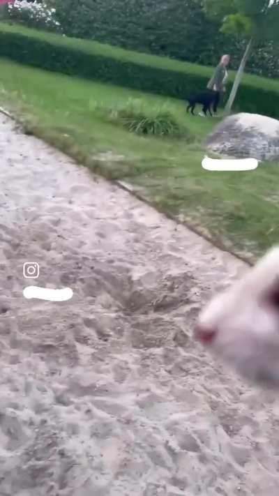 Karen is enraged upon seeing a young man walking his ferret in an empty park during the England game. She intervenes. Camden, London, UK