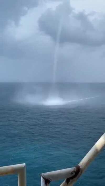 Детёныши торнадо.