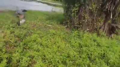 There’s always a bigger fish