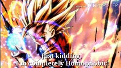 Gohan but he's a Homophobic