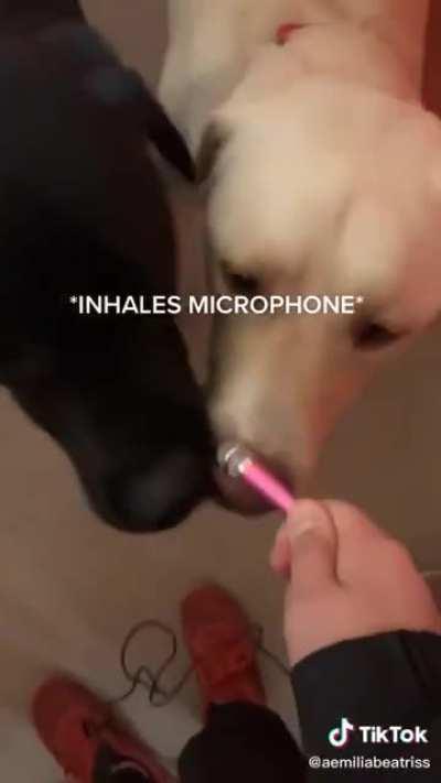 I don't know who needs to hear this but....