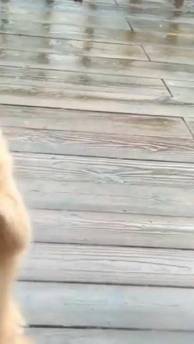 2 months old- 3 years old and he still has this habit