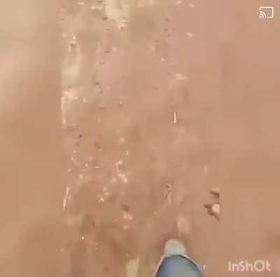 Voy voy vaca puta 🤙🏻