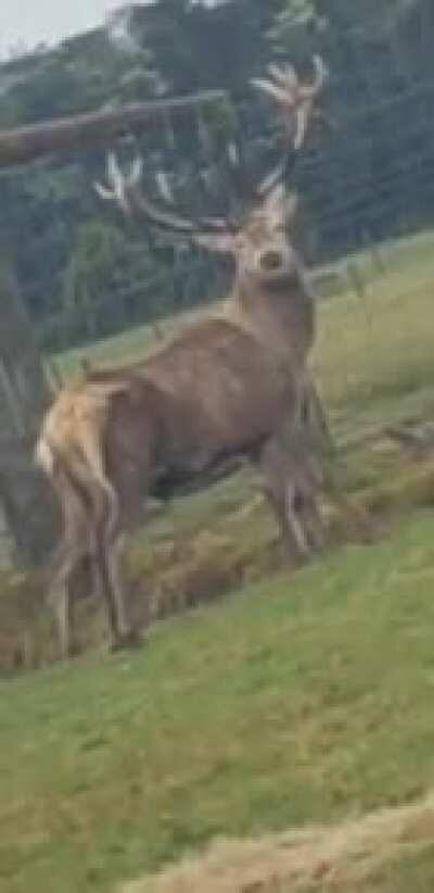 Dear God, i would like to report a Bug