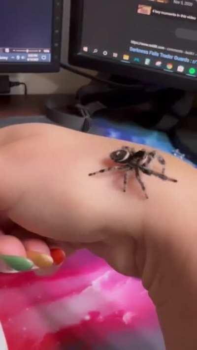 Doo doob bi doo dooo dooo