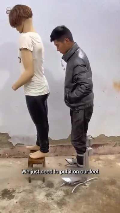 Everybody is a tall king now.