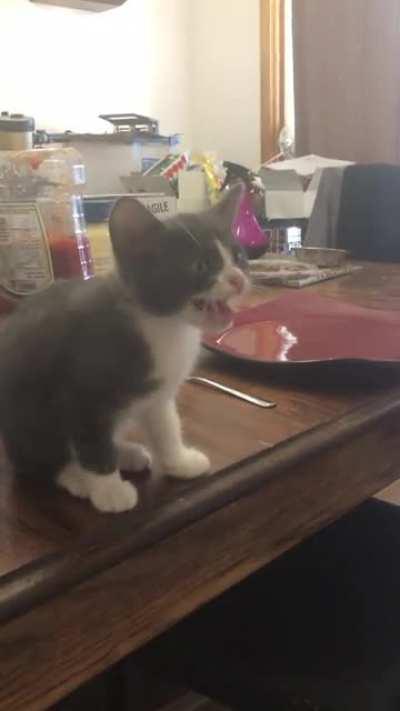 No good reason for her to do this