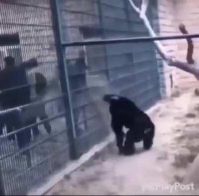 Me swinging onto the beach to defend the point in survival.