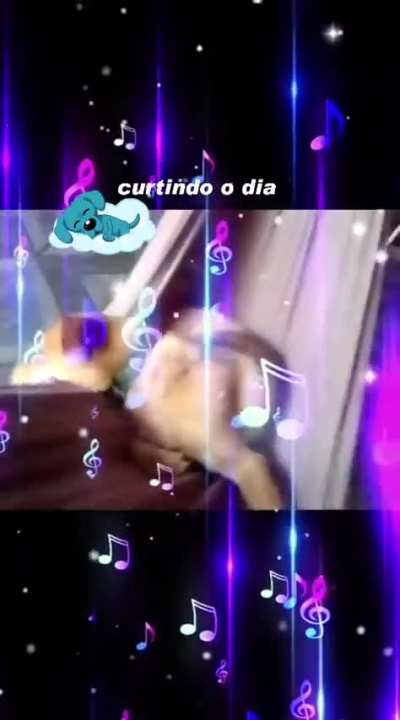 Quem gosta de um descanso na rede 🥰