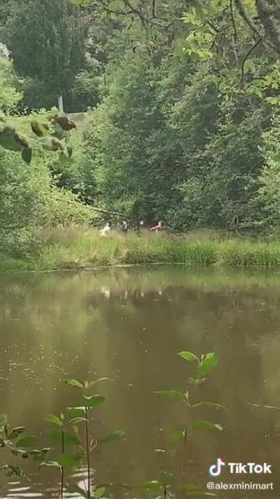 W I D E W A L K I N G