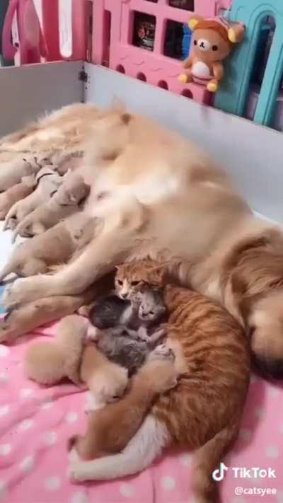 Born on the same day!