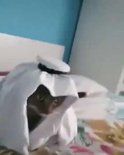 *video youtube* e aqui el funaki