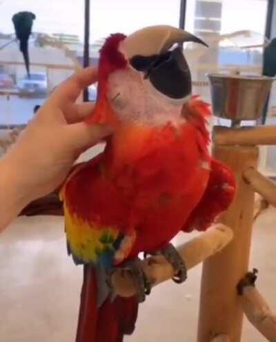 That’s the spot right there