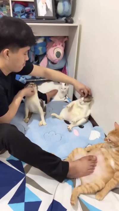 the kind of problem i want