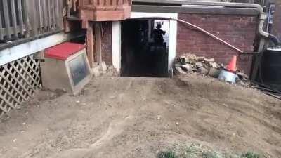 What did you do during lockdown?