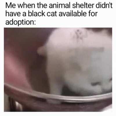 Improvise. Adapter. Overcome.