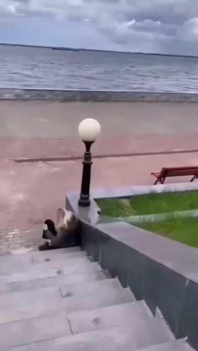 film me! it's gonna be a cool video