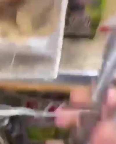 Kid got what she deserved